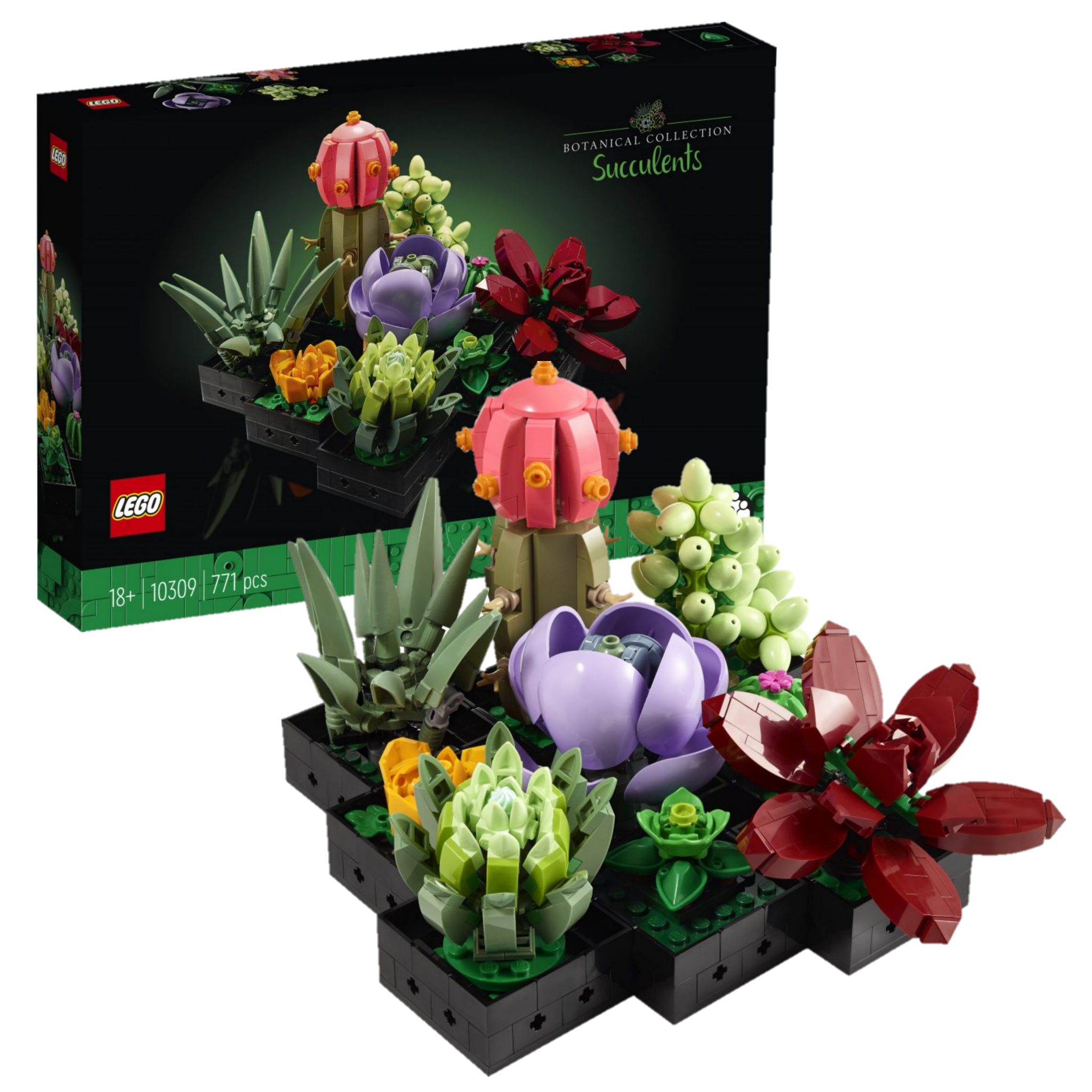 Two New LEGO Botanical Collection Sets Officially Revealed – Succulents ...