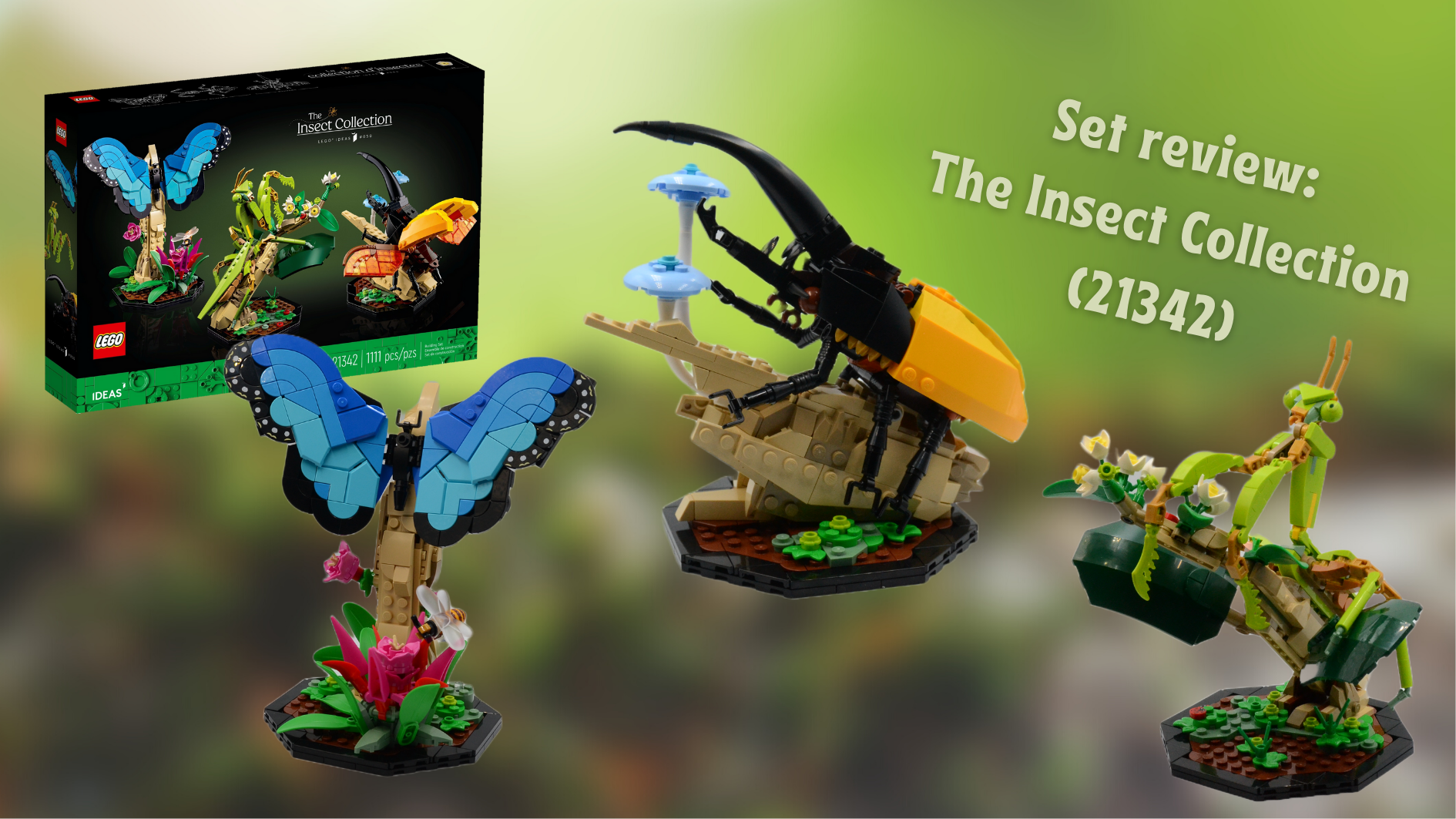 LEGO The Insect Collection Set 21342 Instructions